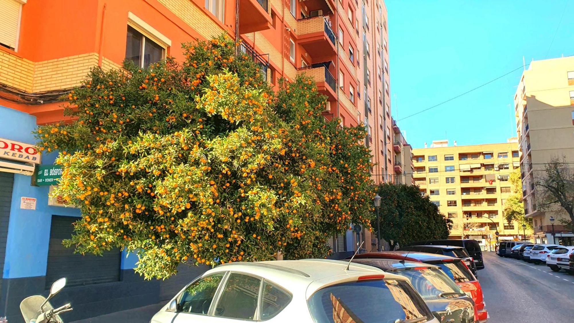 Nuevo Apartamentos Costa Del Alma Валенсия Екстериор снимка
