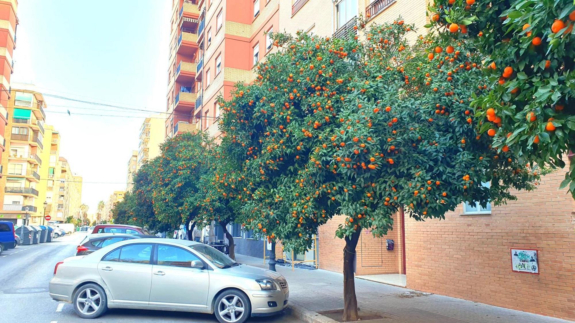 Nuevo Apartamentos Costa Del Alma Валенсия Екстериор снимка